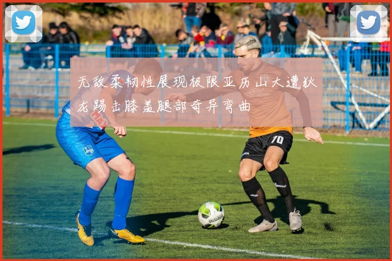 无敌柔韧性展现极限亚历山大遭狄龙踢击膝盖腿部奇异弯曲